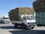 Mercedes-Benz  814 1989 годаүшін6 600 000 тг. в Жетысай