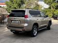 Toyota Land Cruiser Prado 2011 годаүшін15 900 000 тг. в Астана – фото 6