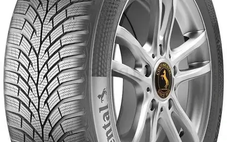 Continental ContiWinterContact TS 870 235/45 R21 и 265/40 R21 за 300 000 тг. в Алматы