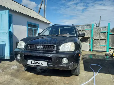 Hyundai Santa Fe 2004 года за 2 100 000 тг. в Большая Владимировка – фото 9