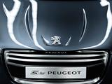 Ремонт Диагностика Моторов (ДВС) CITROEN PEUGEOT RENAULT Ремонт Диагностик в Алматы