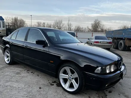 BMW 525 2001 года за 4 200 000 тг. в Уральск – фото 2