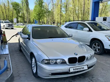 BMW 525 2002 годаүшін5 500 000 тг. в Тараз – фото 4