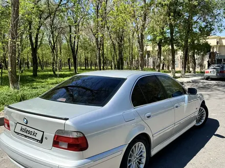 BMW 525 2002 годаүшін5 500 000 тг. в Тараз – фото 8