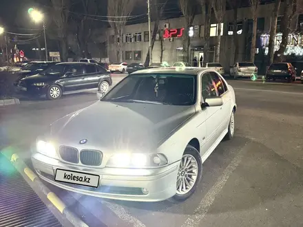 BMW 525 2002 годаүшін5 500 000 тг. в Тараз – фото 6