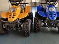 Mike-motors  ATV 2026 года за 370 000 тг. в Астана – фото 3