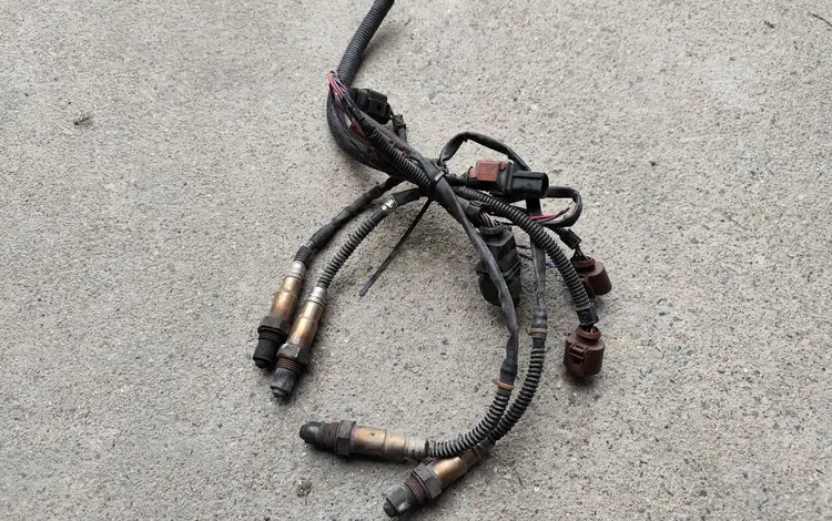 Лямбда-зонд на Touareg Cayenne за 1 000 тг. в Алматы