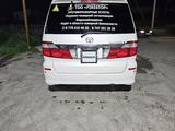 Toyota Alphard 2002 года за 6 300 000 тг. в Шымкент – фото 4