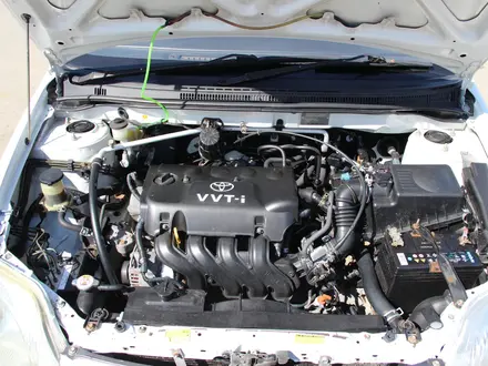 Toyota Corolla 2001 года за 3 900 000 тг. в Усть-Каменогорск – фото 9