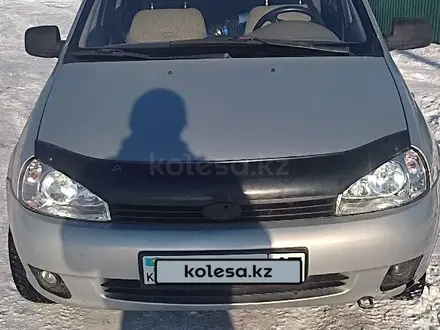 ВАЗ (Lada) Kalina 1119 2007 года за 1 650 000 тг. в Новоишимский