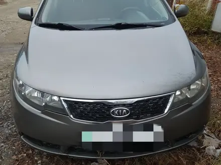 Kia Cerato 2011 года за 3 800 000 тг. в Рудный