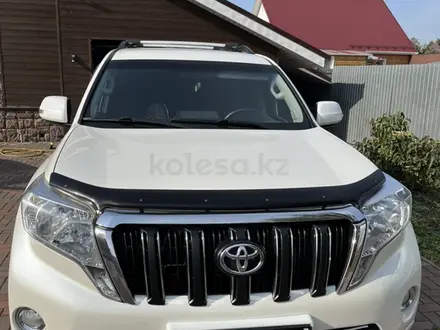 Toyota Land Cruiser Prado 2013 года за 17 500 000 тг. в Петропавловск – фото 12