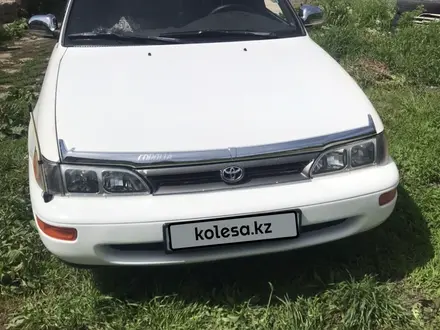 Toyota Corolla 1994 года за 2 500 000 тг. в Алматы – фото 3