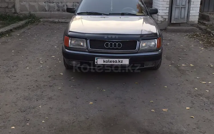 Audi 100 1992 года за 2 400 000 тг. в Павлодар