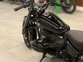 BMW  R 18 2024 года за 10 700 000 тг. в Алматы – фото 13