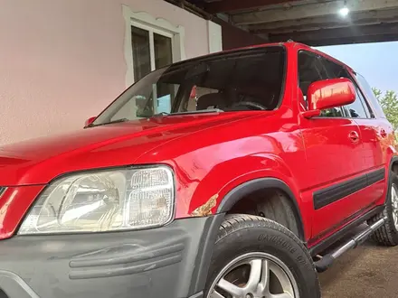 Honda CR-V 1999 года за 3 500 000 тг. в Алматы – фото 5