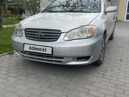 Toyota Corolla 2003 годаүшін3 400 000 тг. в Алматы – фото 2