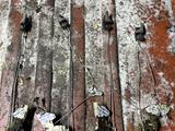 Дверной Замок на Ниссан Мистраль за 1 000 тг. в Алматы