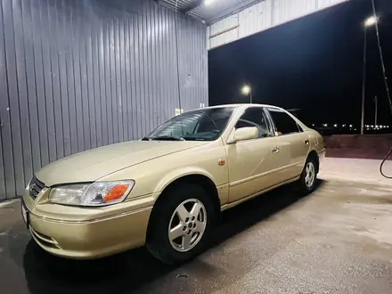 Toyota Camry 2002 года за 3 500 000 тг. в Туркестан – фото 4