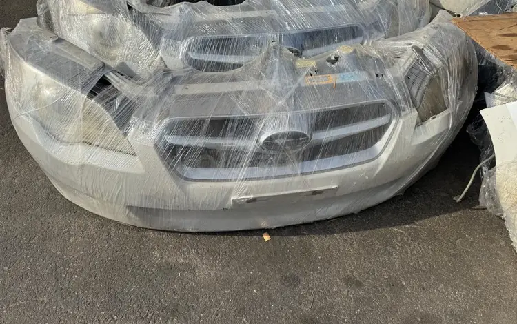 Ноускат Legacy РЕСТАЙЛ за 170 000 тг. в Алматы