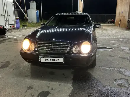 Mercedes-Benz CLK 230 2001 года за 2 100 000 тг. в Алматы – фото 7