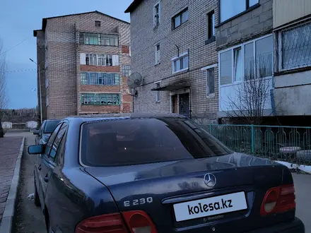 Mercedes-Benz E 230 1996 года за 2 700 000 тг. в Кокшетау – фото 5