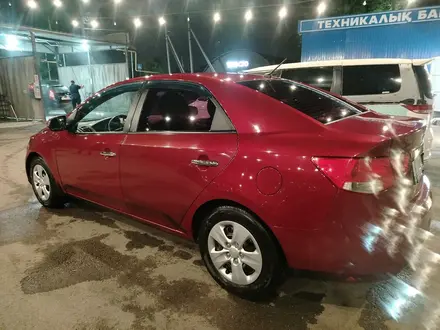 Kia Cerato 2012 года за 4 300 000 тг. в Алматы – фото 10