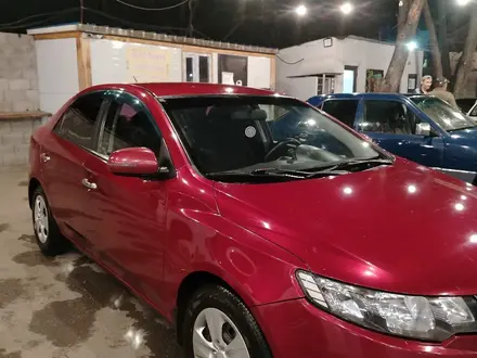 Kia Cerato 2012 года за 4 300 000 тг. в Алматы – фото 2