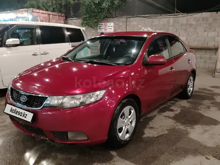 Kia Cerato 2012 года за 4 300 000 тг. в Алматы – фото 3