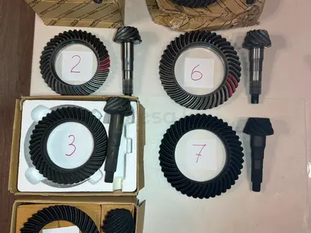 Главная пара за 10 001 тг. в Алматы – фото 3