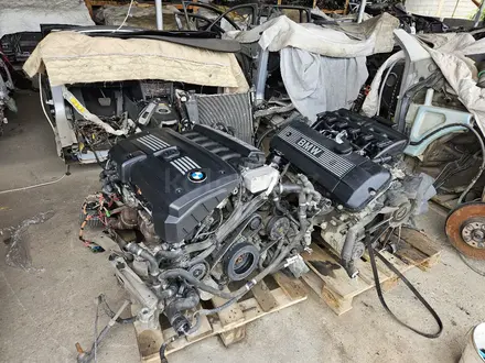 Двигатель на BMW M54 3.0 литра E53 за 670 000 тг. в Шымкент – фото 13