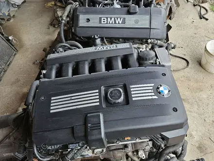 Двигатель на BMW M54 3.0 литра E53 за 670 000 тг. в Шымкент – фото 15