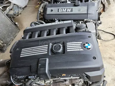Двигатель на BMW M54 3.0 литра E53 за 670 000 тг. в Шымкент – фото 19