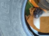 BRIDGESTONE 255-70-15 за 66 000 тг. в Алтай – фото 5