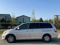 Honda Odyssey 2005 годаүшін6 700 000 тг. в Алматы