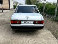 Mercedes-Benz 190 1992 годаүшін2 500 000 тг. в Шымкент