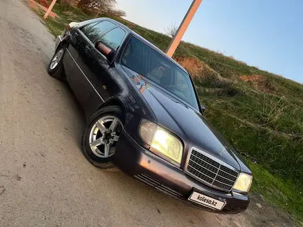 Mercedes-Benz S 300 1993 года за 2 000 000 тг. в Шымкент