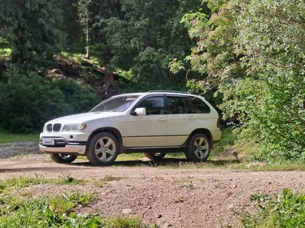 BMW X5 2002 года за 5 500 000 тг. в Алматы – фото 9