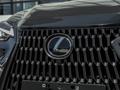 Lexus NX 250 2024 годаүшін32 920 000 тг. в Актау – фото 5