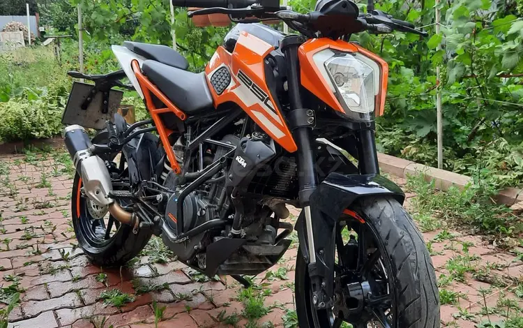 KTM  250 Duke 2017 годаүшін1 900 000 тг. в Алматы