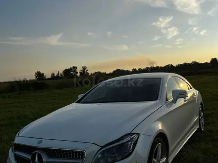 Mercedes-Benz CLS 250 2015 года за 18 900 000 тг. в Павлодар – фото 3