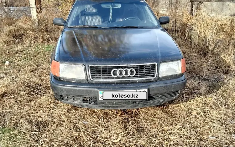 Audi 100 1993 года за 1 850 000 тг. в Талдыкорган