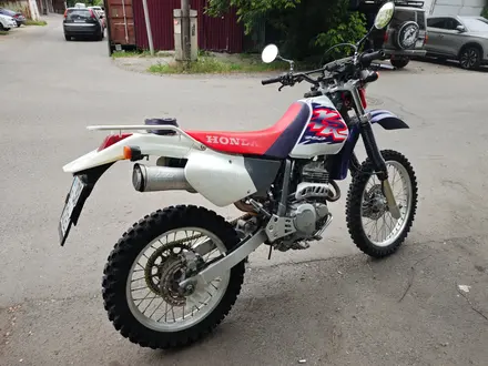Honda  XR250 1995 года за 1 200 000 тг. в Алматы – фото 11
