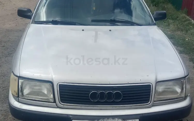 Audi 100 1991 годаүшін900 000 тг. в Железинка