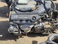 Двигатель Хонда Одиссей обьем 3 литра за 150 000 тг. в Алматы – фото 4