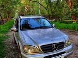 Mercedes-Benz ML 320 1999 года за 3 300 000 тг. в Шымкент – фото 2