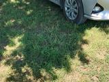 Hyundai Accent 2020 года за 7 000 000 тг. в Астана – фото 2