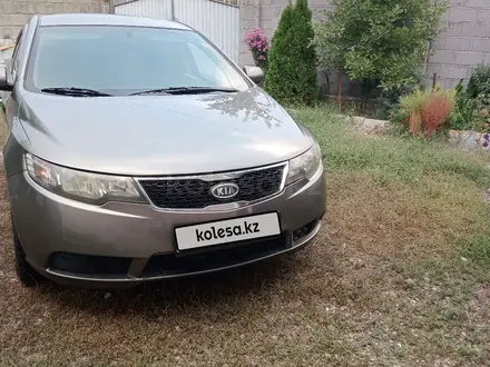 Kia Cerato 2012 года за 5 200 000 тг. в Алматы – фото 4