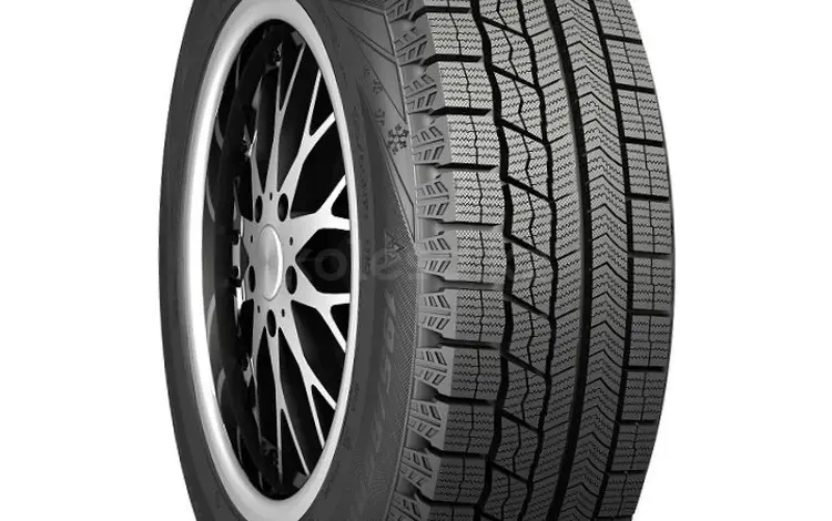 285/50R20 Nankang WS-1 за 60 500 тг. в Алматы