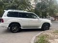 Lexus LX 470 2005 года за 10 600 000 тг. в Алматы – фото 5